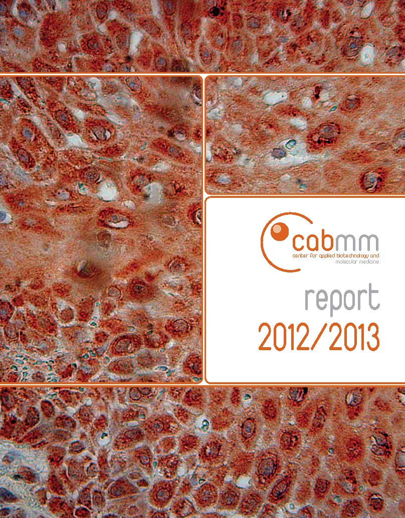 Titelseite CABMM Report 2012/2013